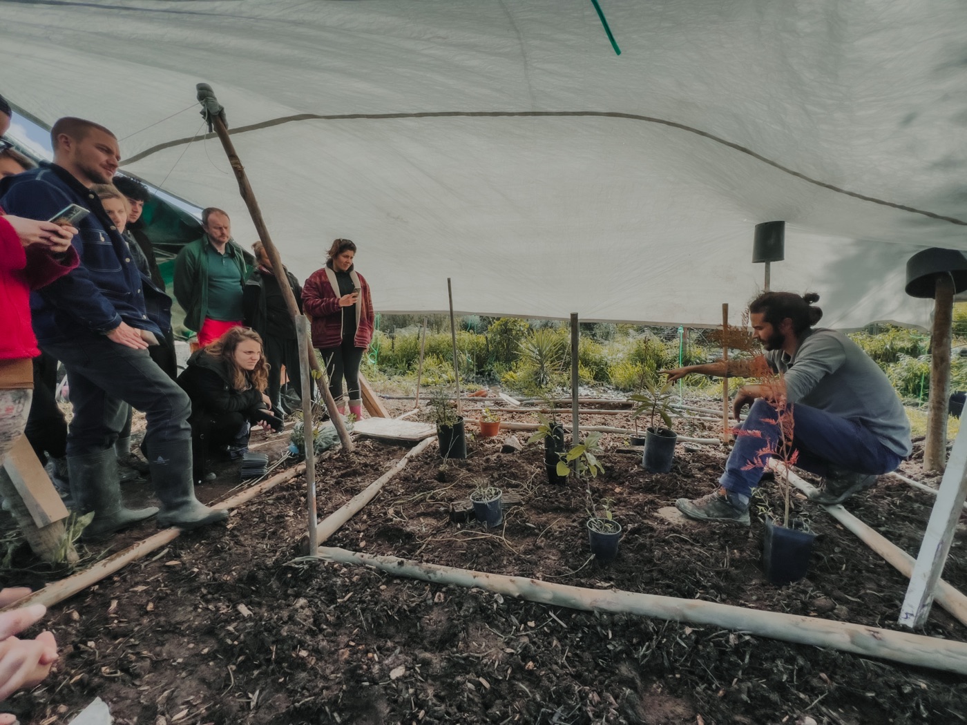 Hands-on self-sufficient living — community garden workshop at Traditional Dream Factory