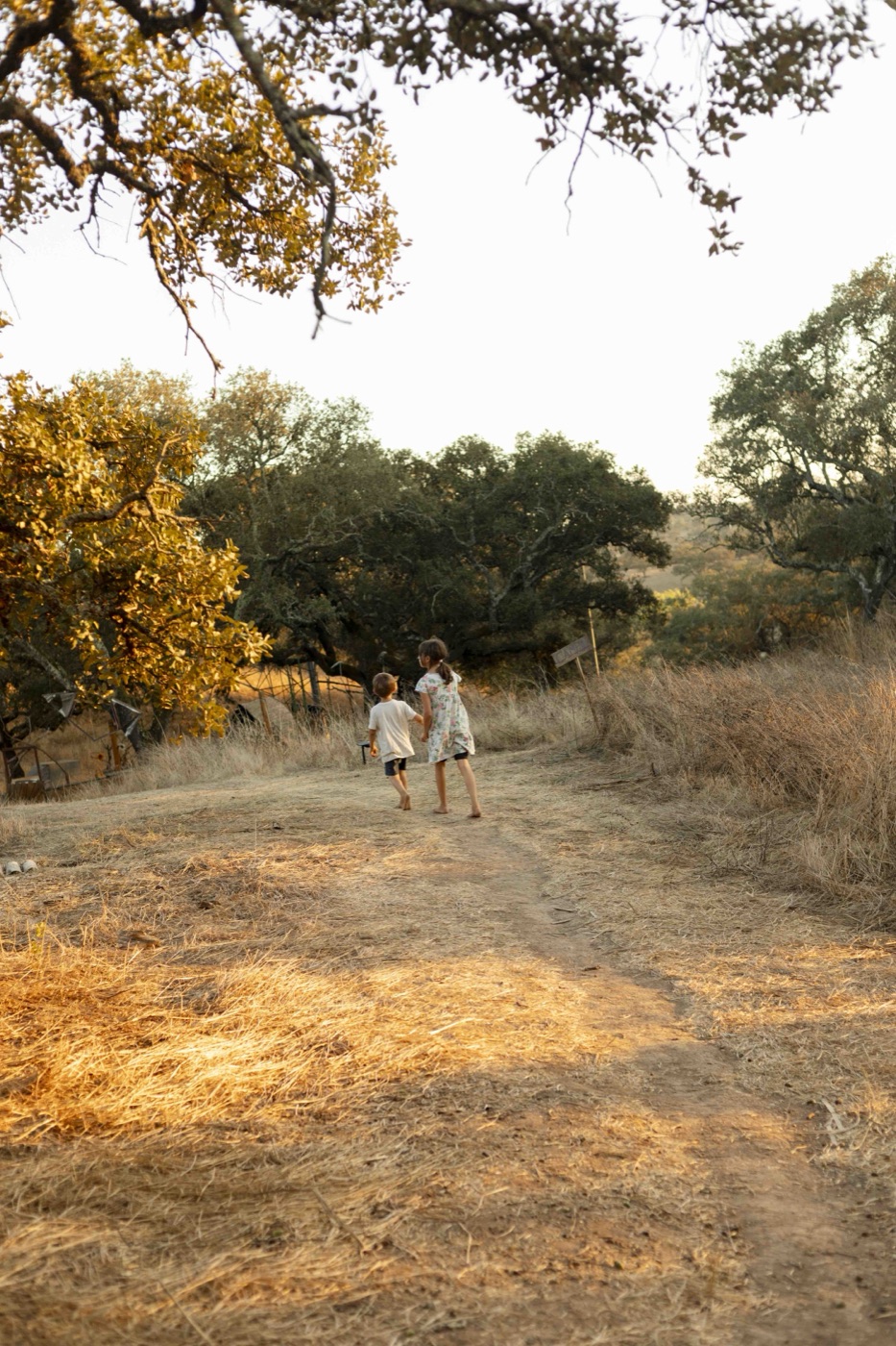 Children walking into the future — a 1000-year investment horizon