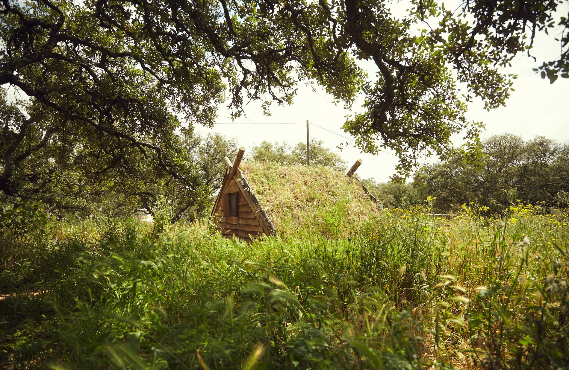 Community wellbeing and regenerative living at Traditional Dream Factory